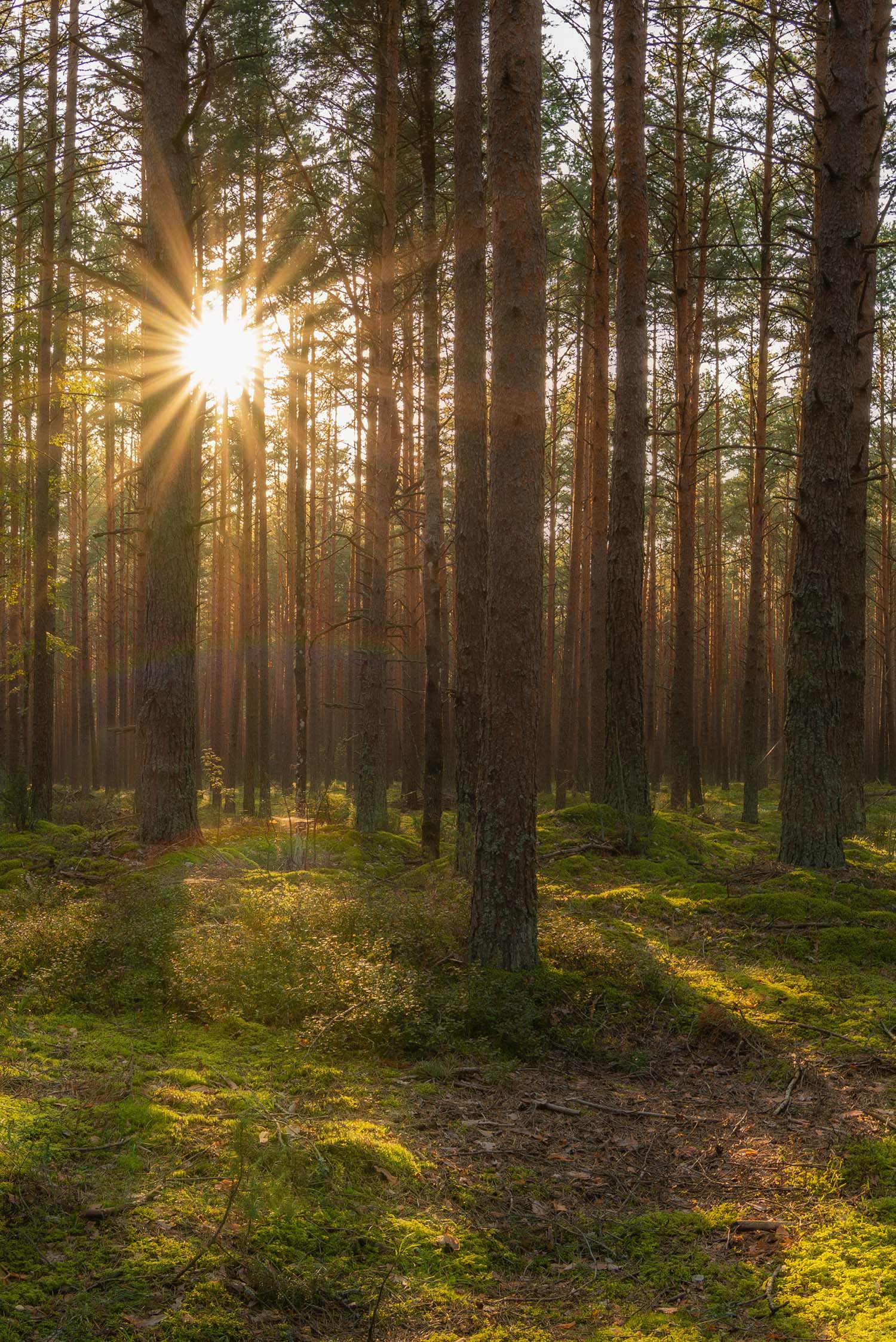 geothermie milieuvriendelijk geothermie milieuvriendelijk